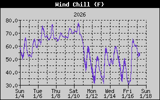 Wind Chill History